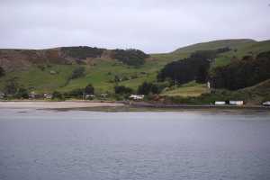 HARINGTON-POINT-DUNEDIN (20)